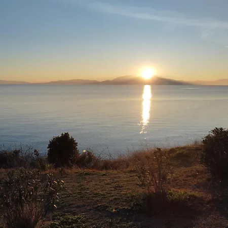 New Nea Kalikratia Chalkidiki Near * Nea Kallikrateia